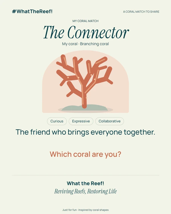 Example coral match card: The Connector, inspired by branching coral.